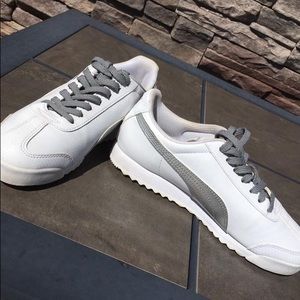 Silver and white pumas